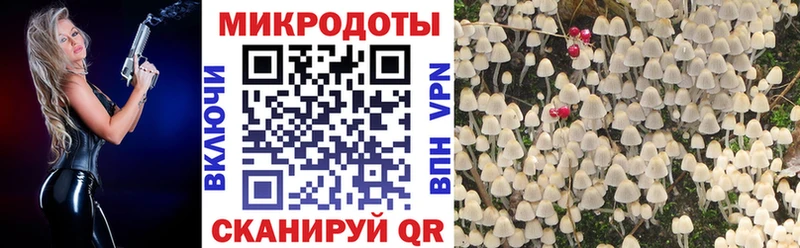 как найти закладки  Новочебоксарск  Галлюциногенные грибы Magic Shrooms 