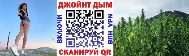 Бошки марихуана White Widow  где купить наркоту  Новочебоксарск 